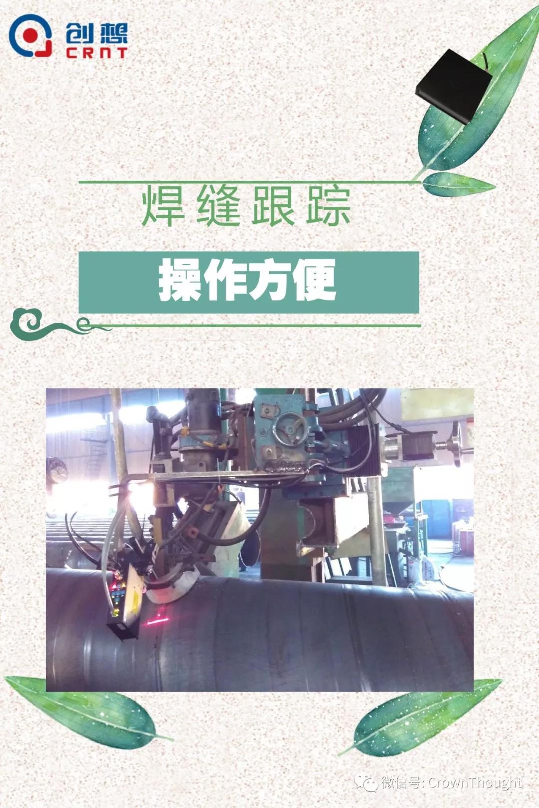 粽葉帶來的不僅僅是粽子，還有...