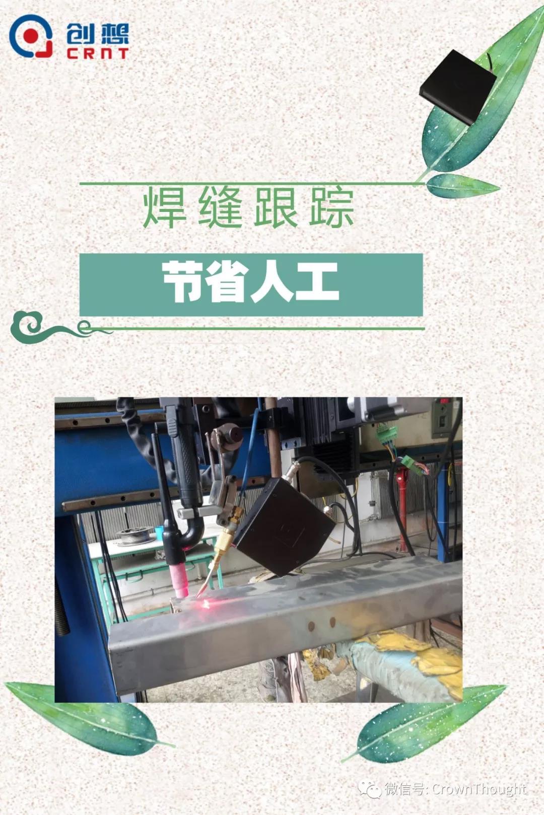 粽葉帶來的不僅僅是粽子，還有...